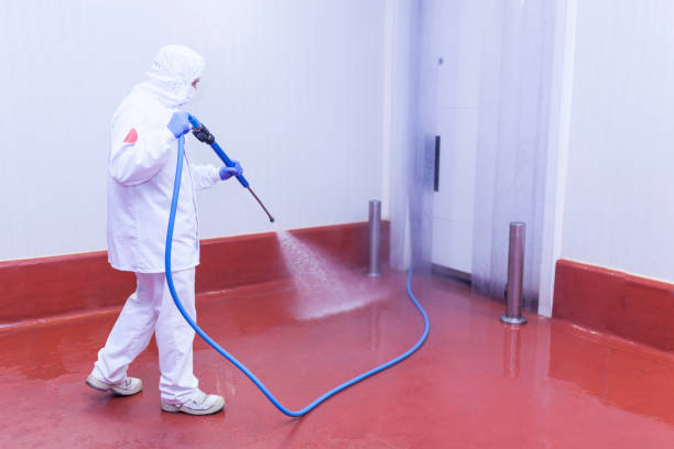Best Pre-Holiday Cleaning  in Batesville, TX